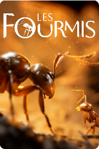 Les Fourmis