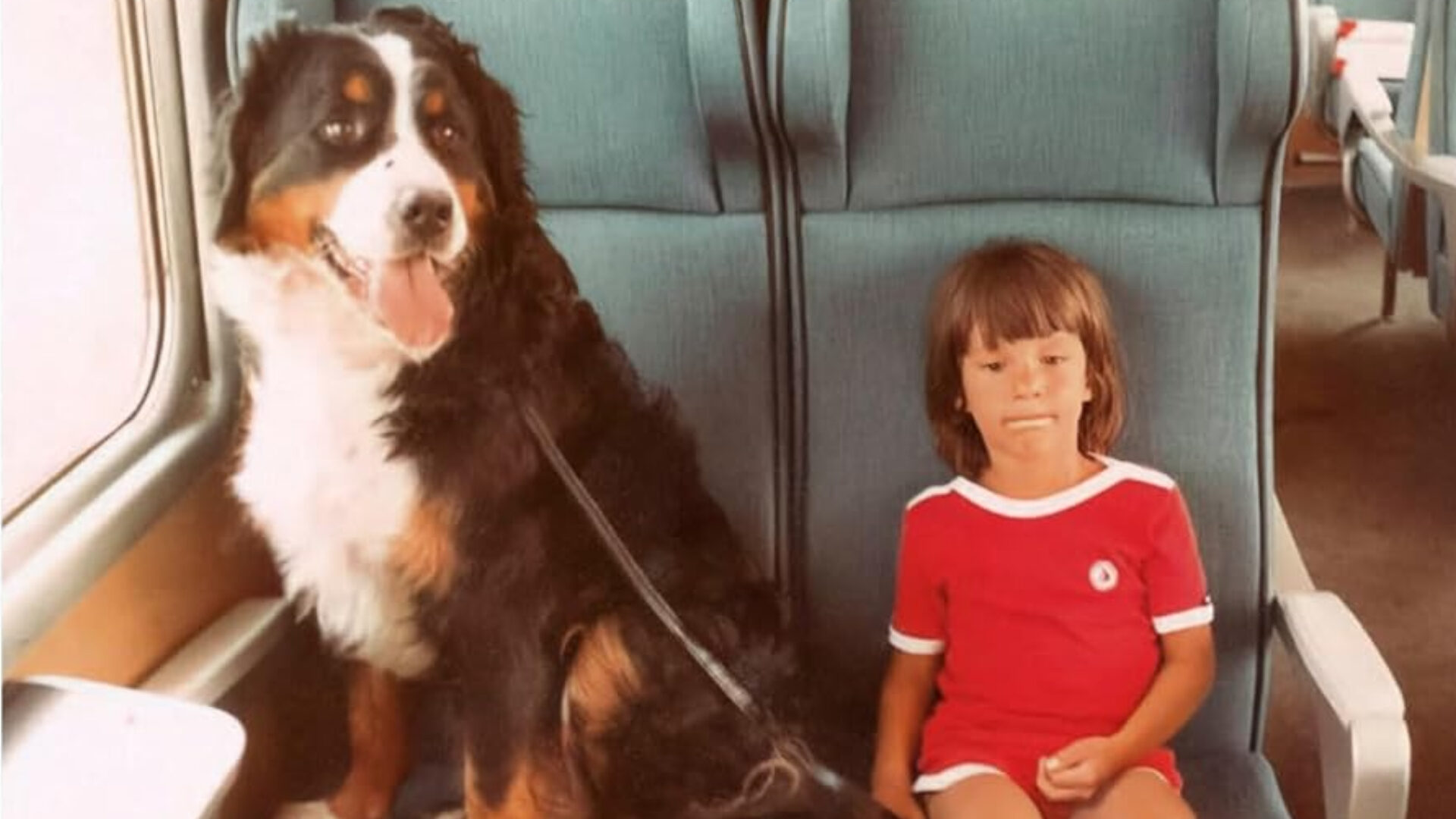 Nos animaux nous réparent : Ils donnent du sens à nos vies