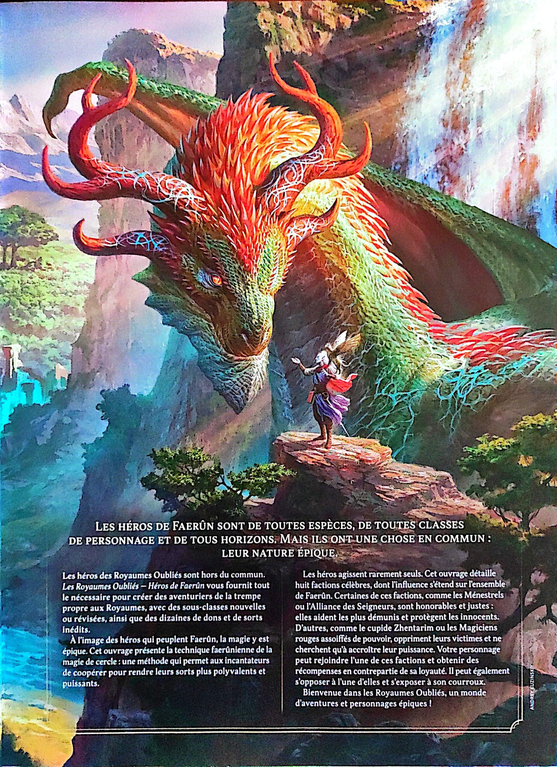Dungeons & Dragons – Les Royaumes Oubliés : Héros de Faerûn